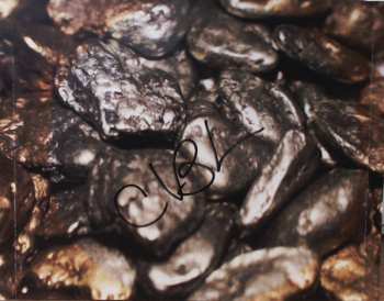 CD Timothy McAllister: Glint