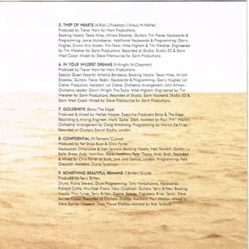 CD Tina Turner: Wildest Dreams