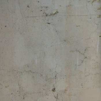 LP tINI: Shmooh's Raisin Theory