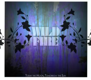Today The Moon, Tomorrow The Sun: Wild Fire