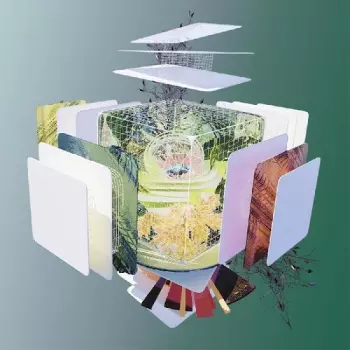 Tomato Flower: Gold Arc / Construction