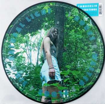 LP Tomberlin: Projections LTD | PIC