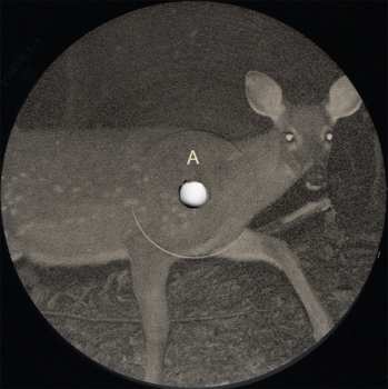 2LP Tongue Depressor: Bones For Time