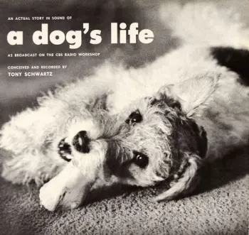 An Actual Story In Sound Of  A Dog's Life