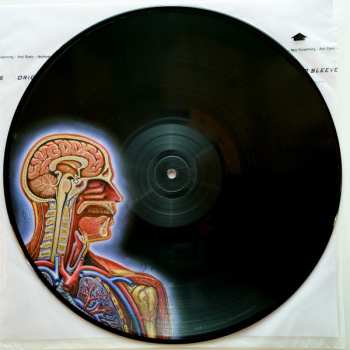 2LP Tool: Lateralus LTD | PIC