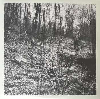 LP Topographies: Interior Spring