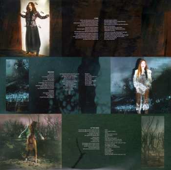 2LP Tori Amos: Native Invader