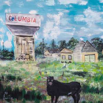 Album Toro Y Moi: Sandhills