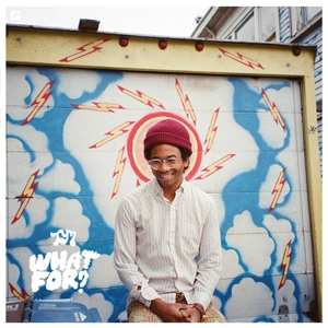 Album Toro Y Moi: What For?