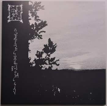 2LP Trha: ∫um'ad∂ejja Cavvaj CLR | LTD