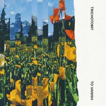 Album Trichotomy: To Vanish