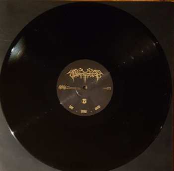 LP Tsatthoggua: We Are God LTD