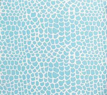 CD Twenty One Pilots: Scaled And Icy