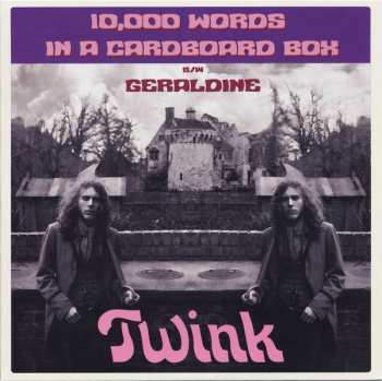 SP Twink: 10,000 Words In A Cardboard Box / Geraldine LTD | NUM