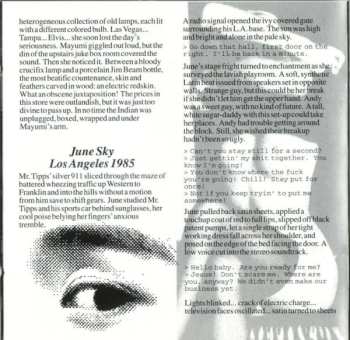 CD U Totem: Strange Attractors