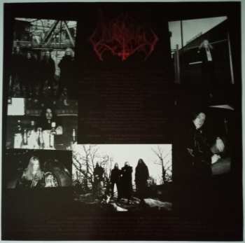 LP Unleashed: Victory CLR | LTD | NUM