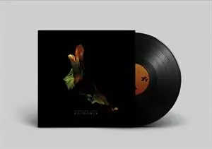 Up High Collective: Koinonia