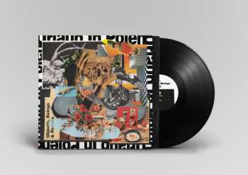 Album Urlaub In Polen: Objects Beings & Parrots