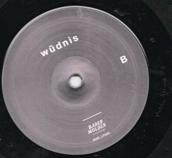 LP/CD Ernst Molden: Wüdnis