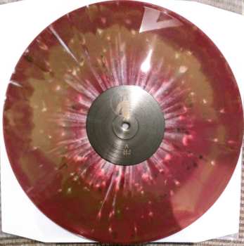 2LP Usnea: Portals Into Futility CLR | LTD