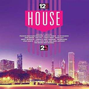 2LP Various: 12 Inch Dance House