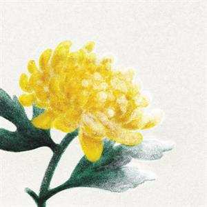 LP Various: Spring Snow