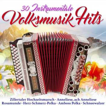 2CD Various: 30 Instrumentale Volksmusik-hits