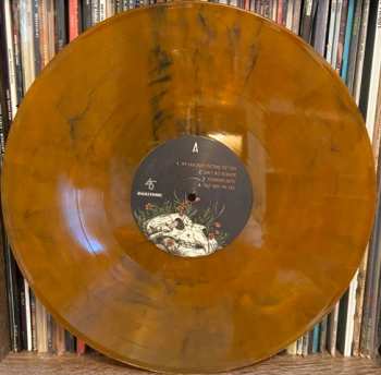 2LP Various: Amerikinda: 20 Years Of Dualtone