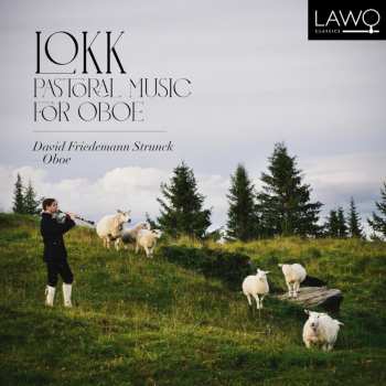 Album Various: David Friedemann Struck - Lokk
