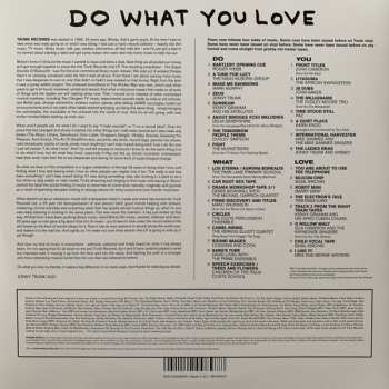 2LP Various: Do What You Love CLR