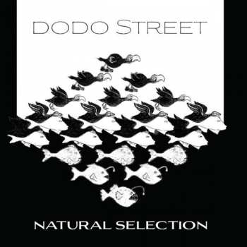 CD Various: Dodo Street