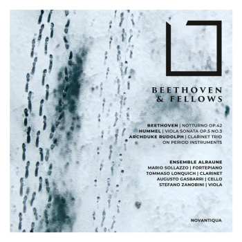 Album Various: Ensemble Alraune - Beethoven & Fellows