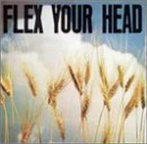 CD Various: Flex Your Head