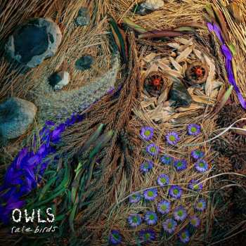 CD Various: Rare Birds
