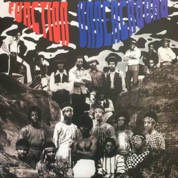 LP Various: Function Underground: The Black And Brown American Rock Sound 1969-1974 LTD