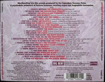 CD Various: Get Ready To Fly: Pop-Psych From The Norman Petty Vaults