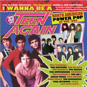 CD Various: I Wanna Be A Teen Again: American Power Pop 1980 - 1989