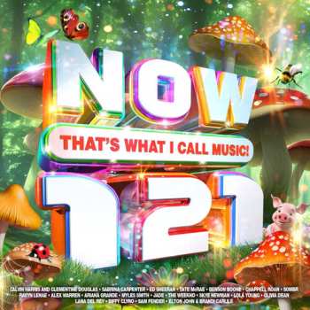 2CD Various: Now That's What I Call Music 121 / Various