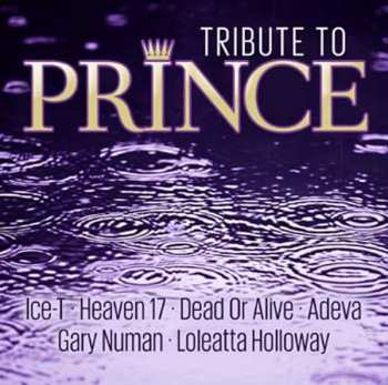 Album Various: Party O' The Times (A Tribute To Prince)