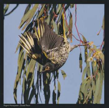CD Various: Songs Of Disappearance (Australian Bird Calls) - Endangered Edition DLX