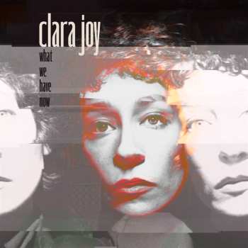 LP Various: What We Have Now (clear Vinyl)