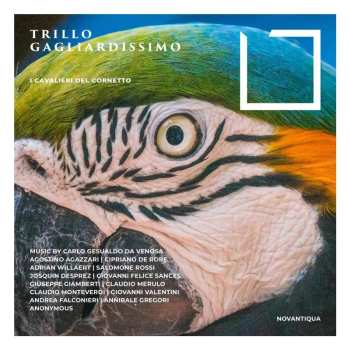 CD Various: Trillo Gagliardissimo (musik Für Cornett)