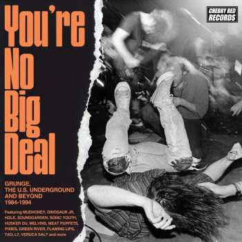 CD Various: You're No Big Deal: Grunge & The Us Underground