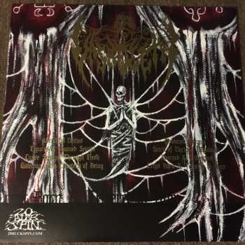 LP Vasaeleth: Crypt Born & Tethered To Ruin ‎