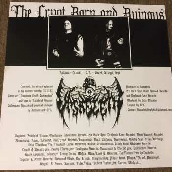 LP Vasaeleth: Crypt Born & Tethered To Ruin ‎