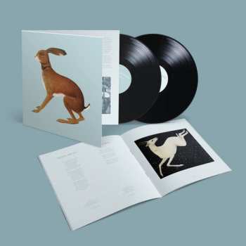2LP Vashti Bunyan: Lookaftering (Expanded Edition)