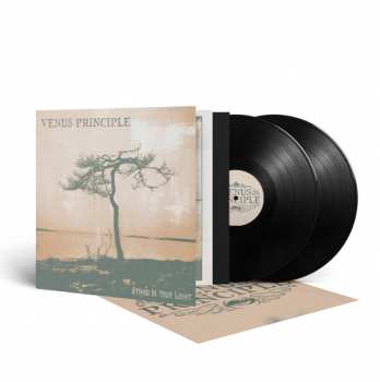 2LP Venus Principle: Stand In Your Light
