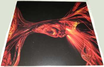 CD VHS Head: Persistence Of Vision