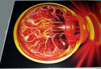 CD VHS Head: Persistence Of Vision