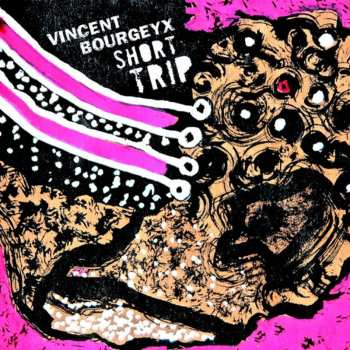 Album Vincent Bourgeyx: Short Trip